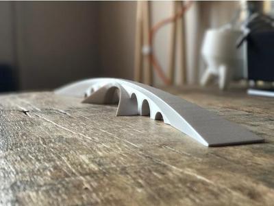 Leonardo Da Vinci | Golden Horn Bridge