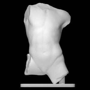 Marble Torso of a Boy