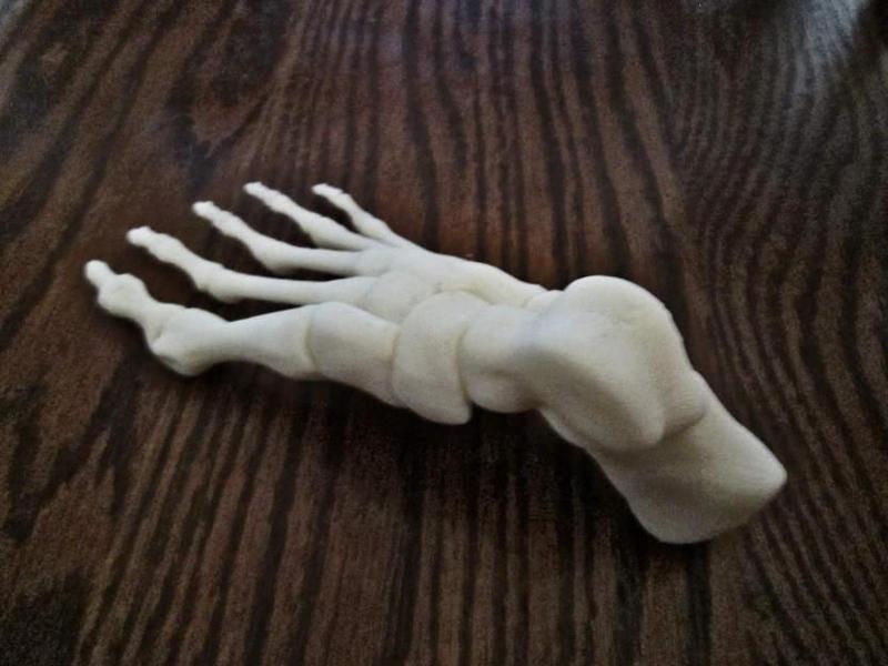 Foot, Right Human Fully assembled