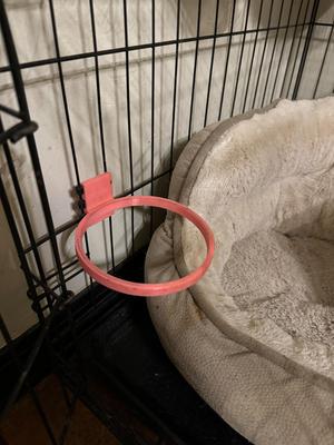 Dog Bowl Kennel holder