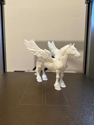Pegasus