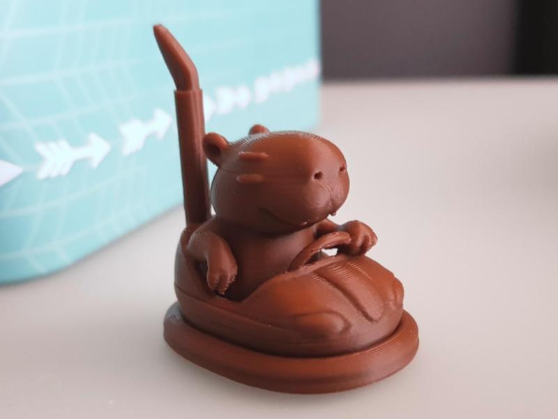 Capybara im Autoscooter Dodgems Bumper car