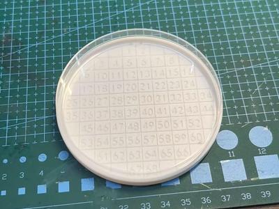 Gridded Petri Dish