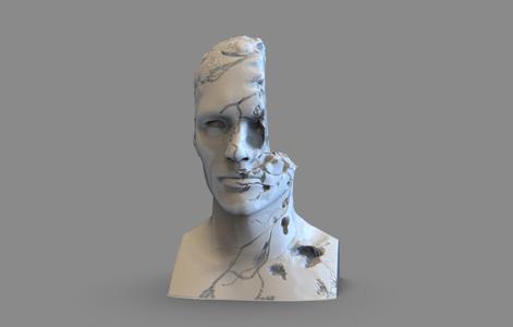 Broken Bust