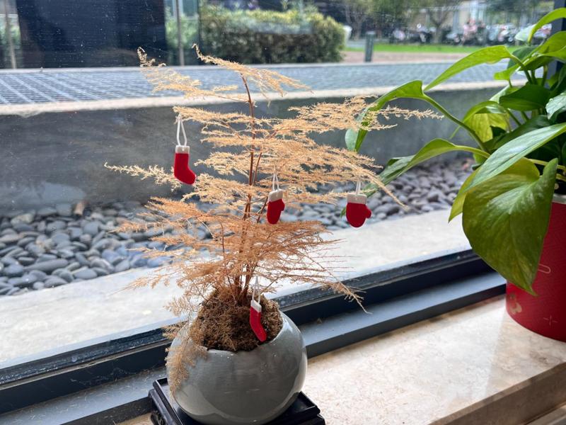 Christmas holiday decorations