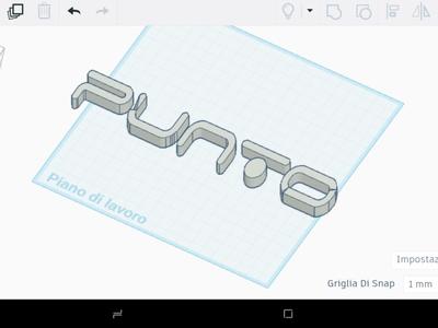 Fiat Punto Evo inscription 