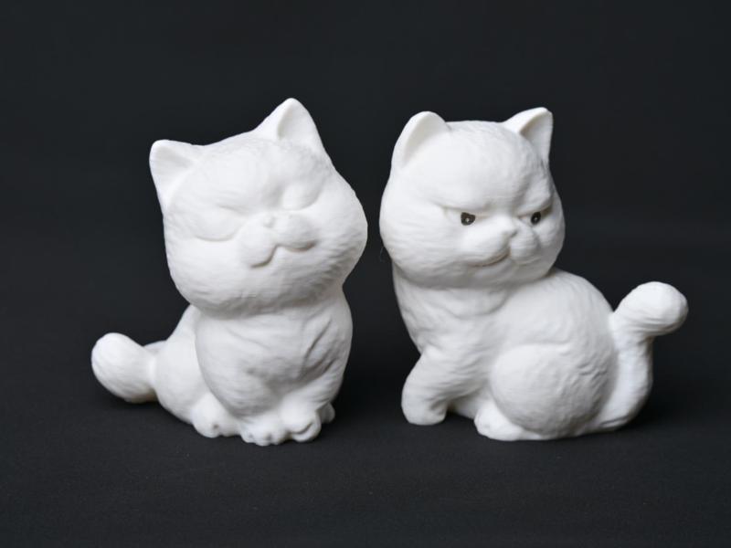 Two adorable kittens