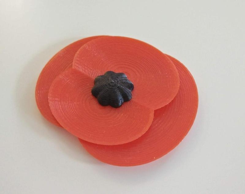 Remembrance day poppy