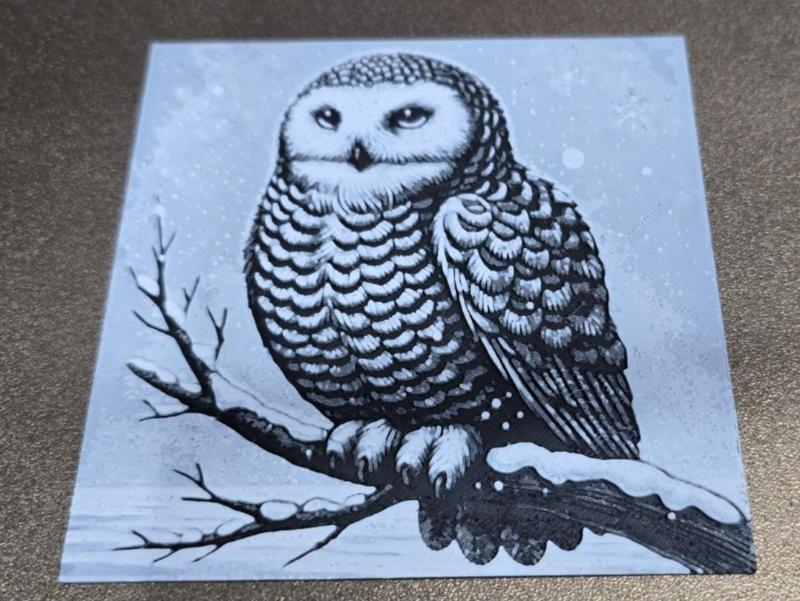 Snow Owl