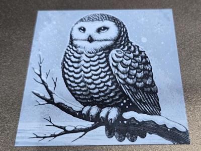 Snow Owl