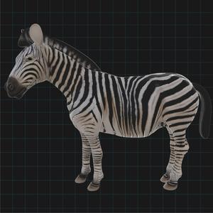 Realistic Zebra 3D Model – African Wildlife Animal