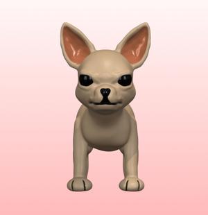Cute chihuahua dogr