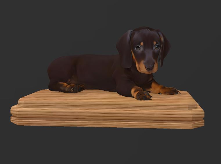 SAUSAGE 2 COLLECTION HIGH QUALITY PEDIGREE DOGS