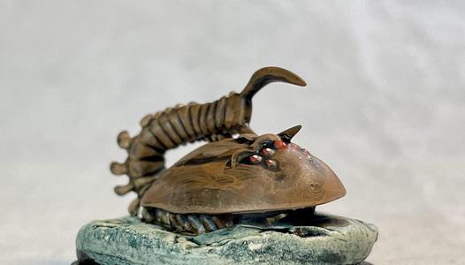 Triops
