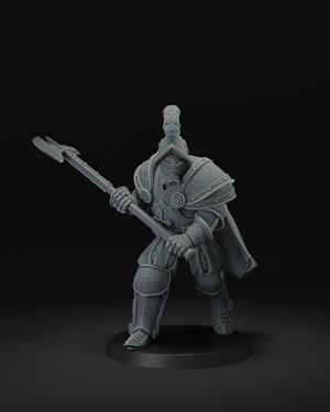 Heavy Infantry