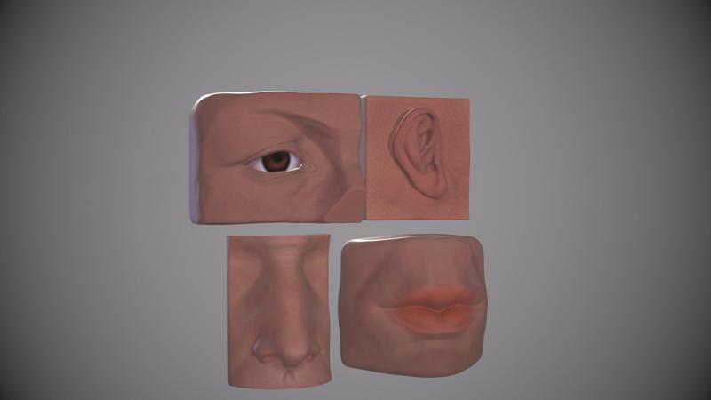 Face Parts reference (anatomy)