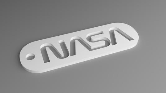NASA Keyring - Worm Logo Fob (Punched)
