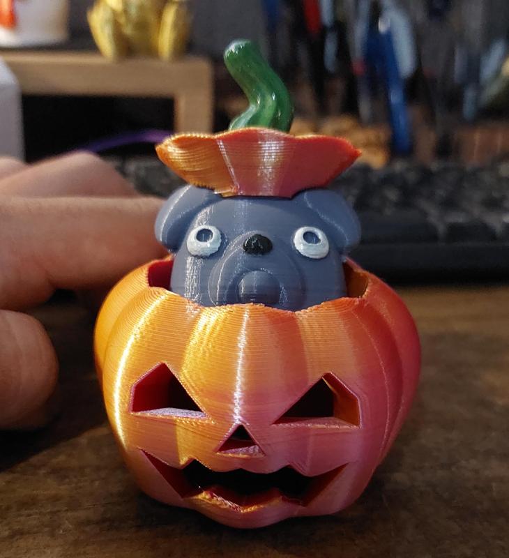 SECRET PUPPY IN PUMPKIN // PUMPKIN DOG