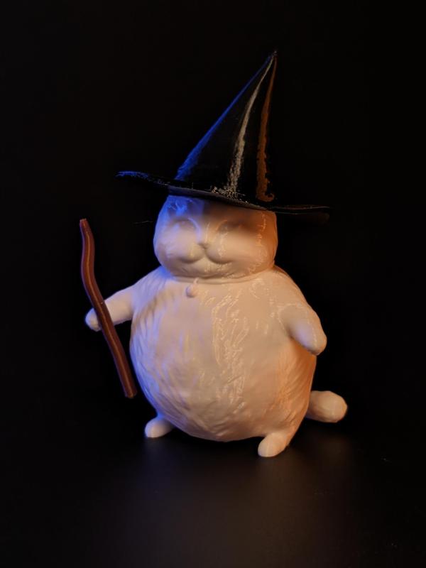 Chunky Wizard Cat