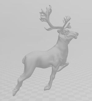 Reindeer