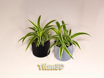 Small Flower Pot