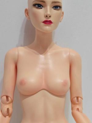 BJD Bust/Chest C Cup