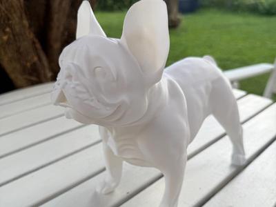 French Bulldog