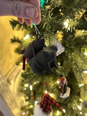 Missile Toad - Mistletoe - Cute