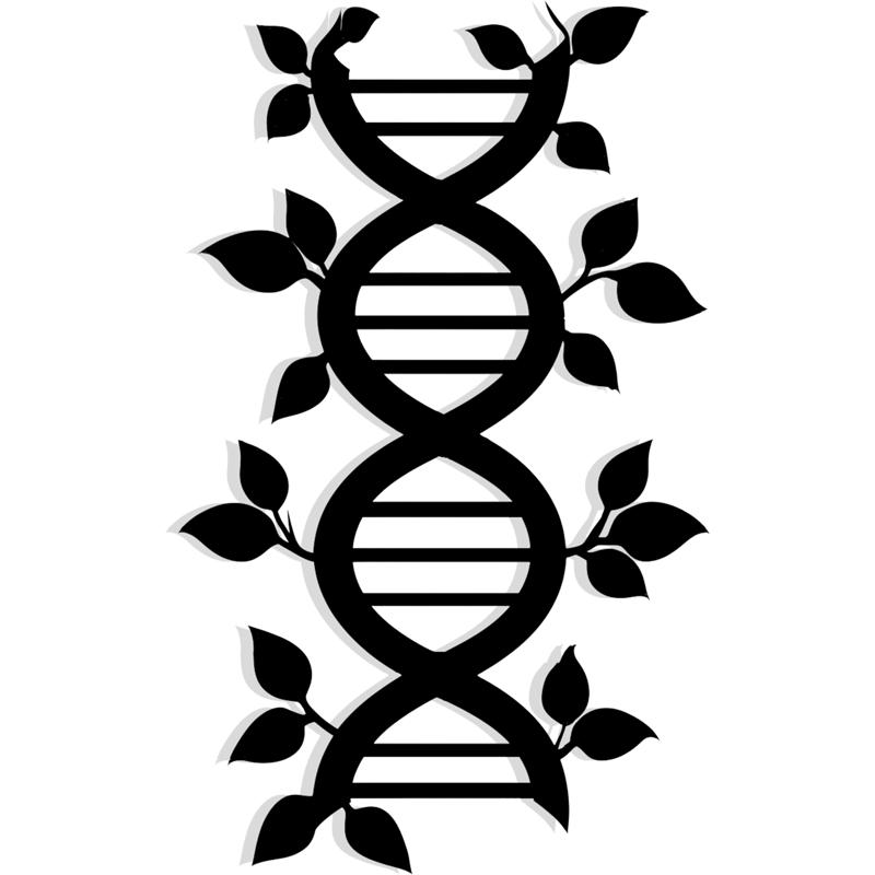 DNA - 2D/3D Wall Art STL+SVG For CNC Router, Plasma, Waterjet, Laser & 3D Printer