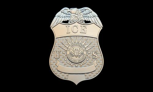 U.S. Immigration and Customs Enforcement (ICE) Badge 3D STL for CNC