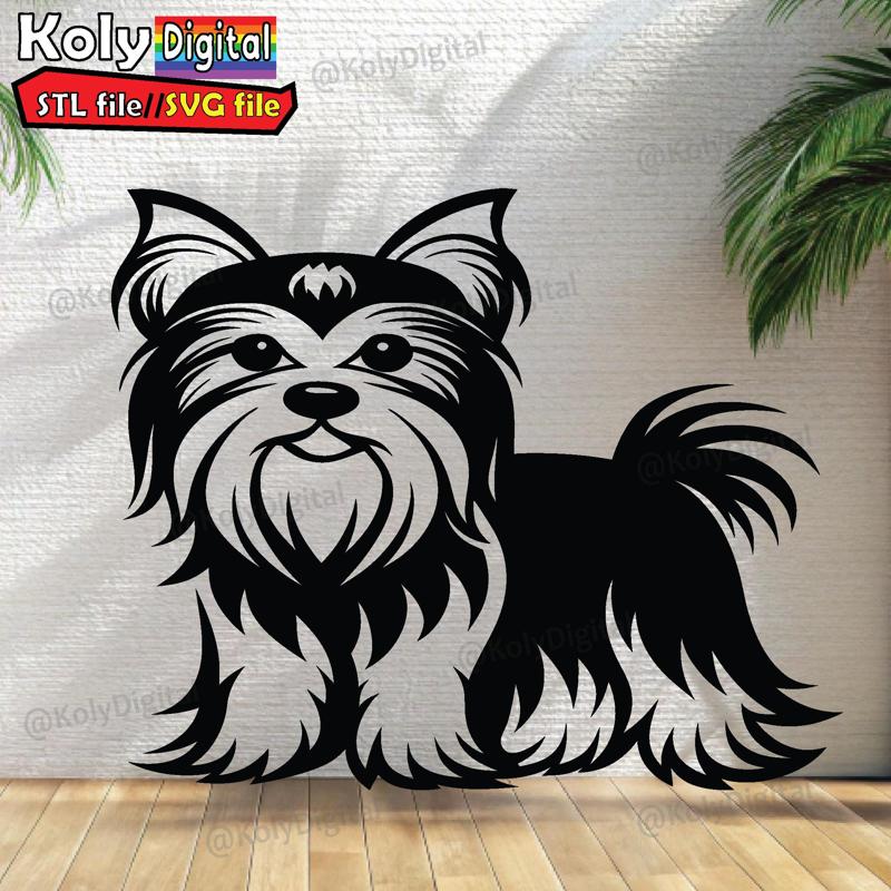 Yorkshire Terrier dog fullbody