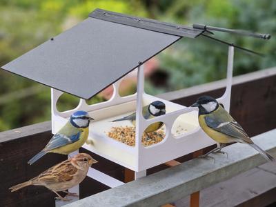 Bird Feeder with Drawer