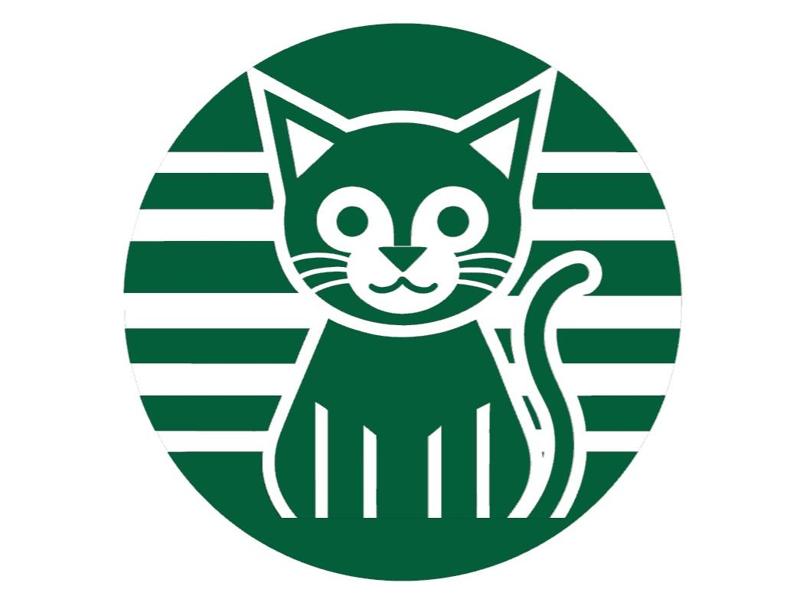 CatBucks