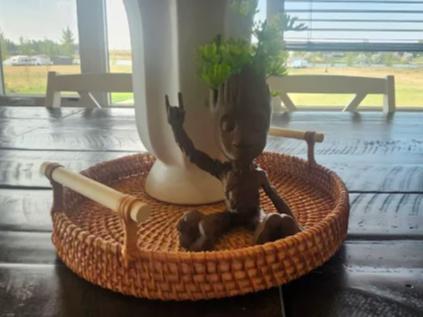 Baby Groot Planter Pot