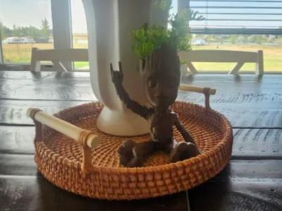 Baby Groot Planter Pot