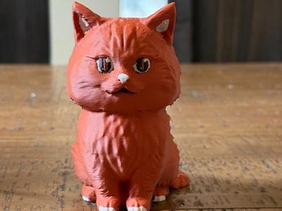 Cat 01
