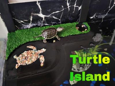 Turtle Island