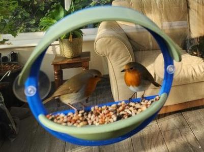 Window Bird Feeder Porthole Style