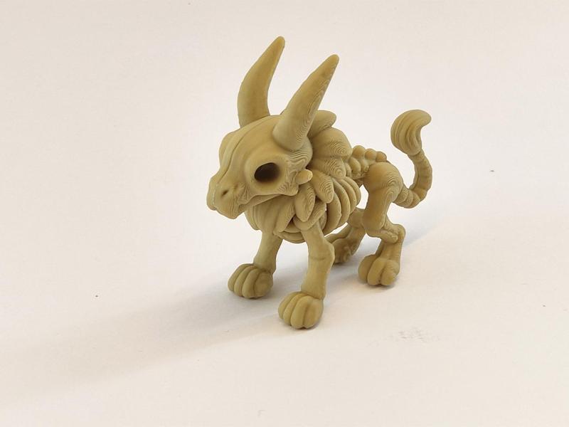 Skeleton Lion – The Proud Friend from the Savannah
