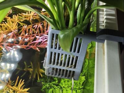 Ciano 80 Water Vase larger | External Plants