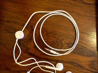Apple earphones protector