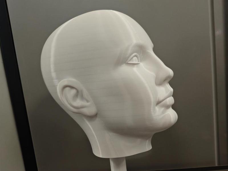 Life-Size Wig Stand – 54cm Head Circumference