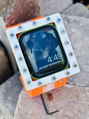 Apple Watch Case and Wrist Band