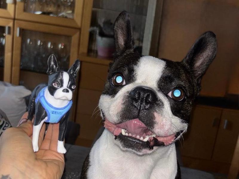 Boston Terrier Figurine