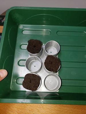 Little peat Pod holder