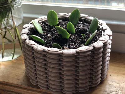 Woven Planter