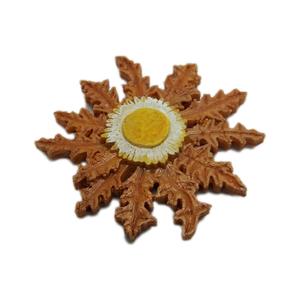 Eguzkilore for magnet
