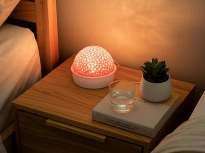 Voronoi Mushroom Lamp - Fungi Night Light