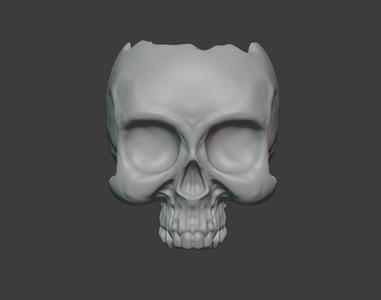 Skull Holder / Plant Vase