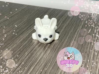 Cute Little Rabbit